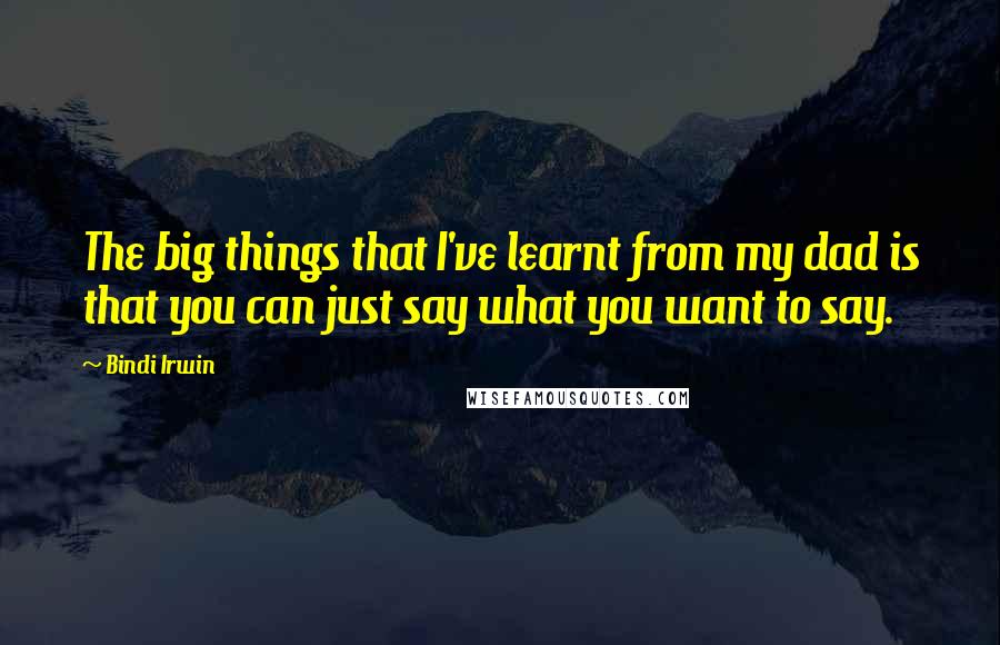 Bindi Irwin Quotes: The big things that I've learnt from my dad is that you can just say what you want to say.