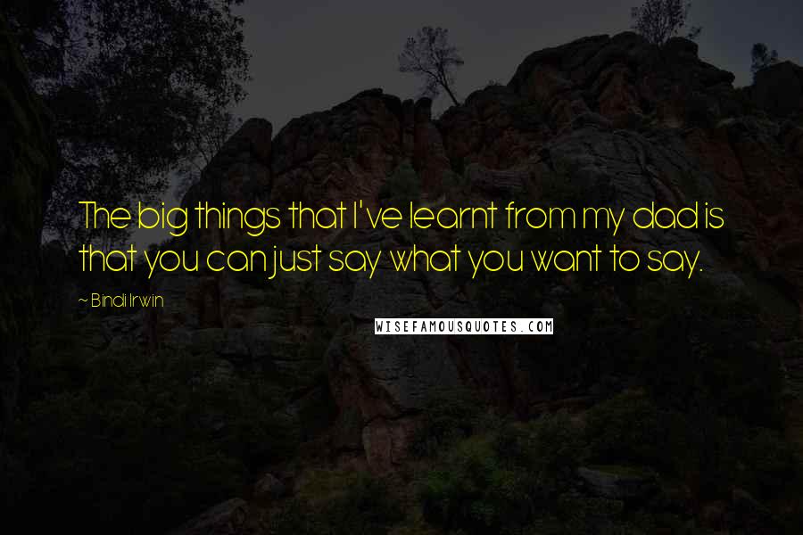 Bindi Irwin Quotes: The big things that I've learnt from my dad is that you can just say what you want to say.