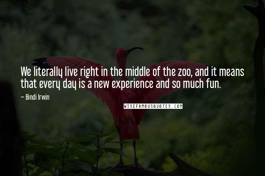 Bindi Irwin Quotes: We literally live right in the middle of the zoo, and it means that every day is a new experience and so much fun.