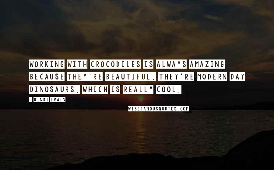 Bindi Irwin Quotes: Working with crocodiles is always amazing because they're beautiful. They're modern day dinosaurs, which is really cool.