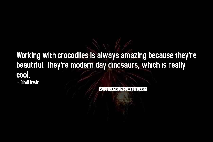 Bindi Irwin Quotes: Working with crocodiles is always amazing because they're beautiful. They're modern day dinosaurs, which is really cool.