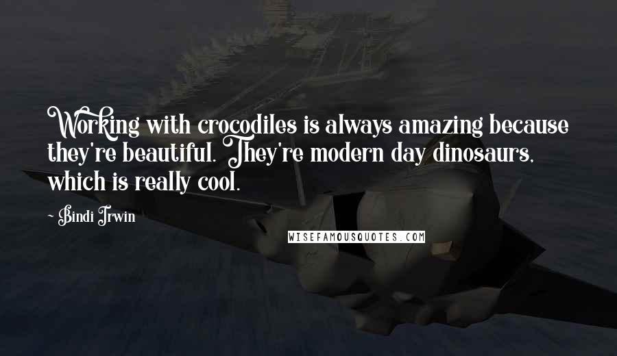 Bindi Irwin Quotes: Working with crocodiles is always amazing because they're beautiful. They're modern day dinosaurs, which is really cool.