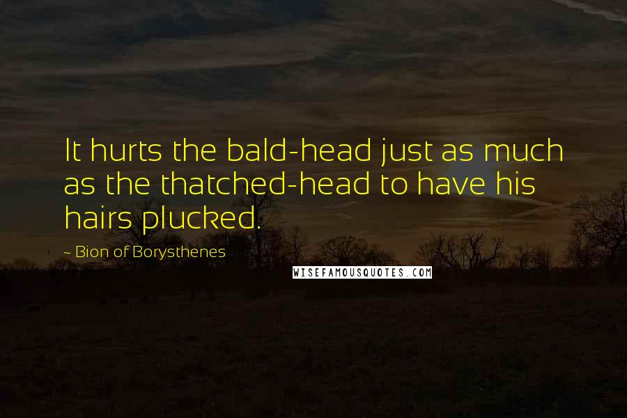 Bion Of Borysthenes Quotes: It hurts the bald-head just as much as the thatched-head to have his hairs plucked.