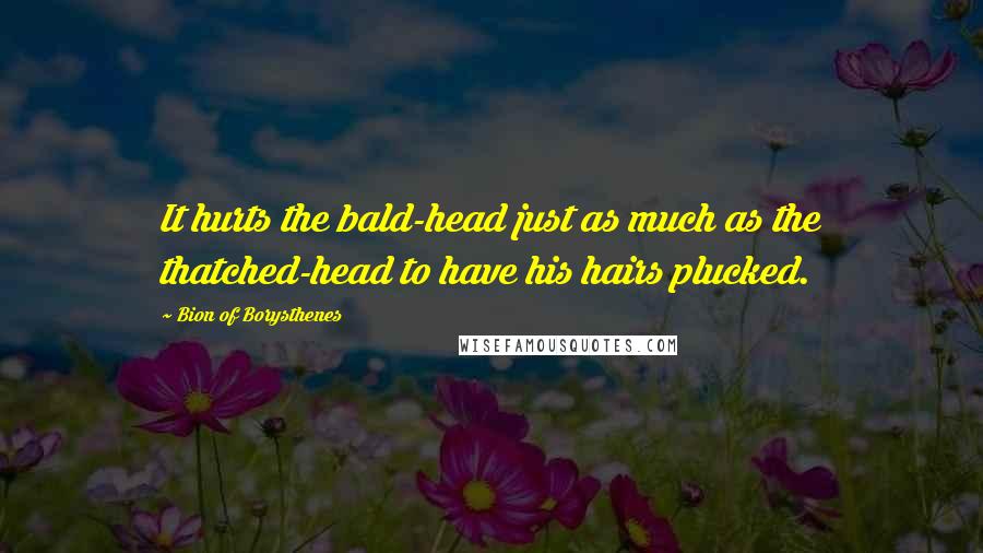 Bion Of Borysthenes Quotes: It hurts the bald-head just as much as the thatched-head to have his hairs plucked.