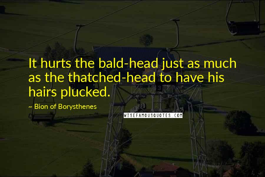 Bion Of Borysthenes Quotes: It hurts the bald-head just as much as the thatched-head to have his hairs plucked.