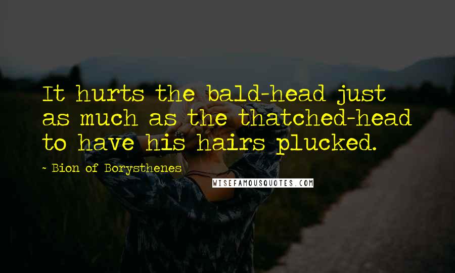 Bion Of Borysthenes Quotes: It hurts the bald-head just as much as the thatched-head to have his hairs plucked.