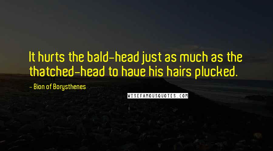 Bion Of Borysthenes Quotes: It hurts the bald-head just as much as the thatched-head to have his hairs plucked.