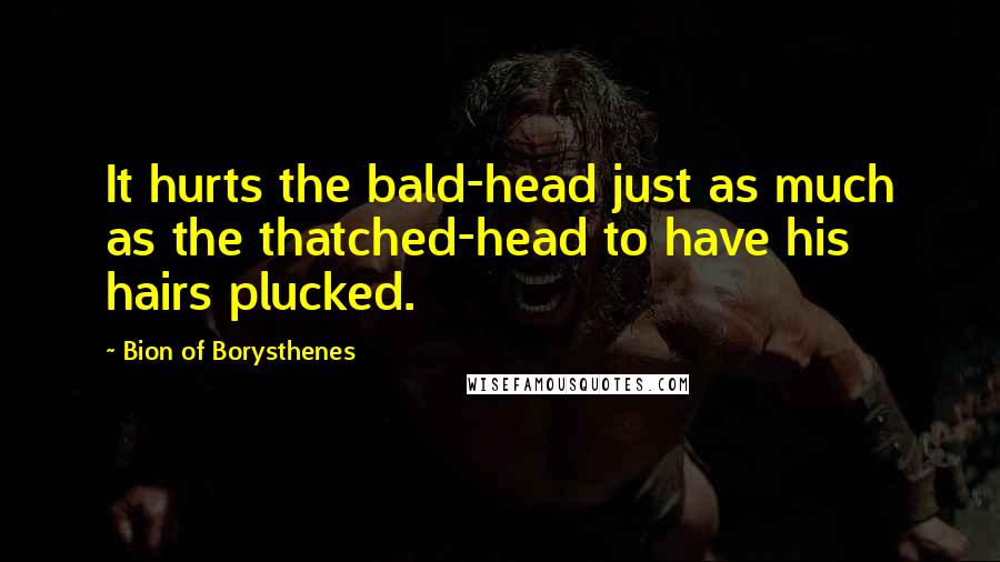 Bion Of Borysthenes Quotes: It hurts the bald-head just as much as the thatched-head to have his hairs plucked.