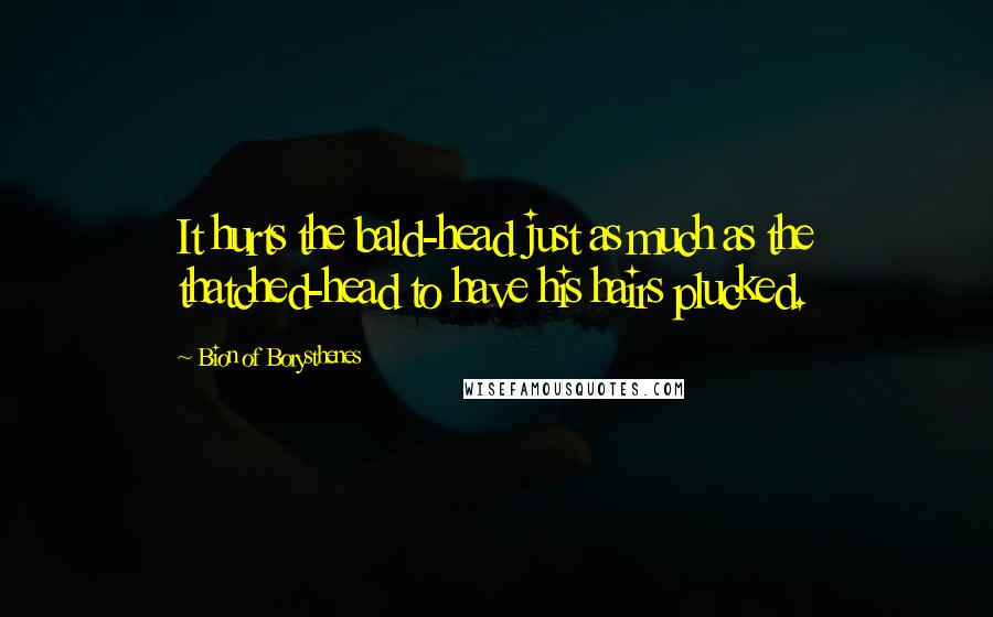 Bion Of Borysthenes Quotes: It hurts the bald-head just as much as the thatched-head to have his hairs plucked.