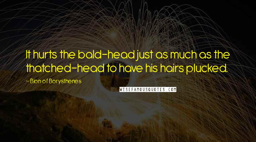 Bion Of Borysthenes Quotes: It hurts the bald-head just as much as the thatched-head to have his hairs plucked.