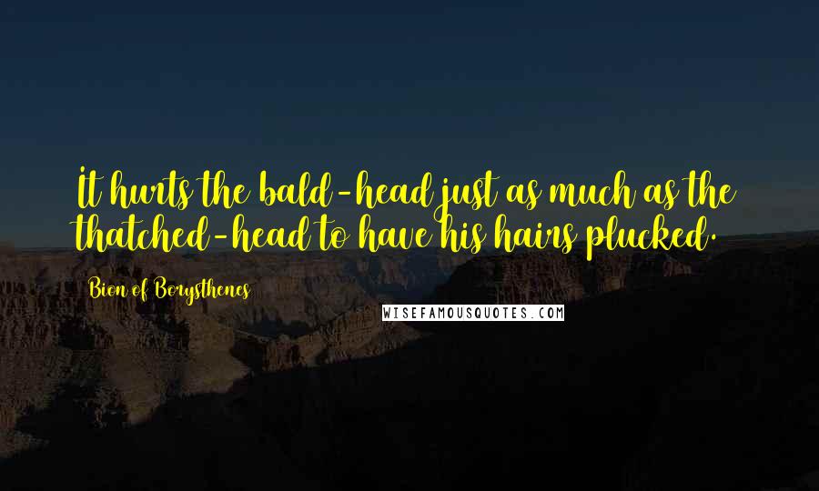 Bion Of Borysthenes Quotes: It hurts the bald-head just as much as the thatched-head to have his hairs plucked.