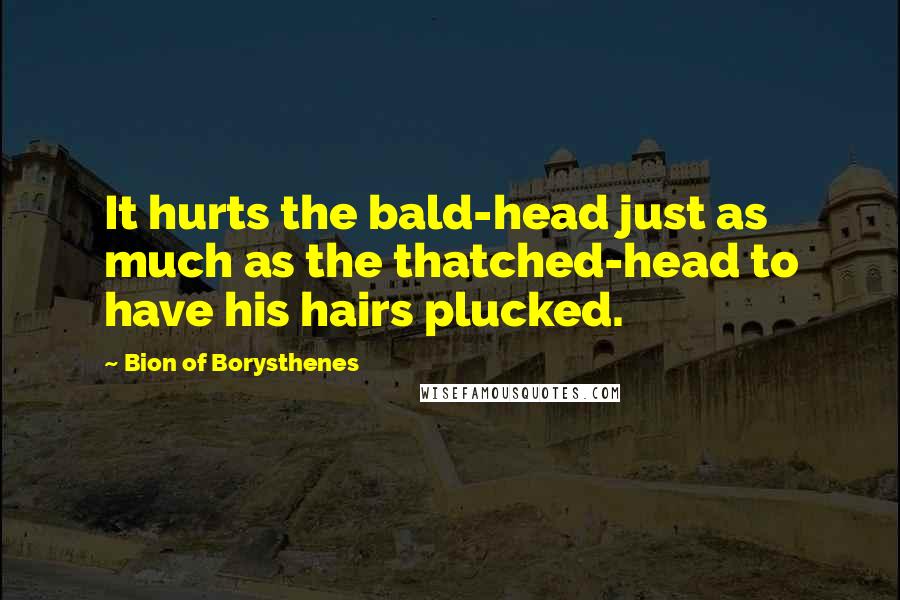 Bion Of Borysthenes Quotes: It hurts the bald-head just as much as the thatched-head to have his hairs plucked.