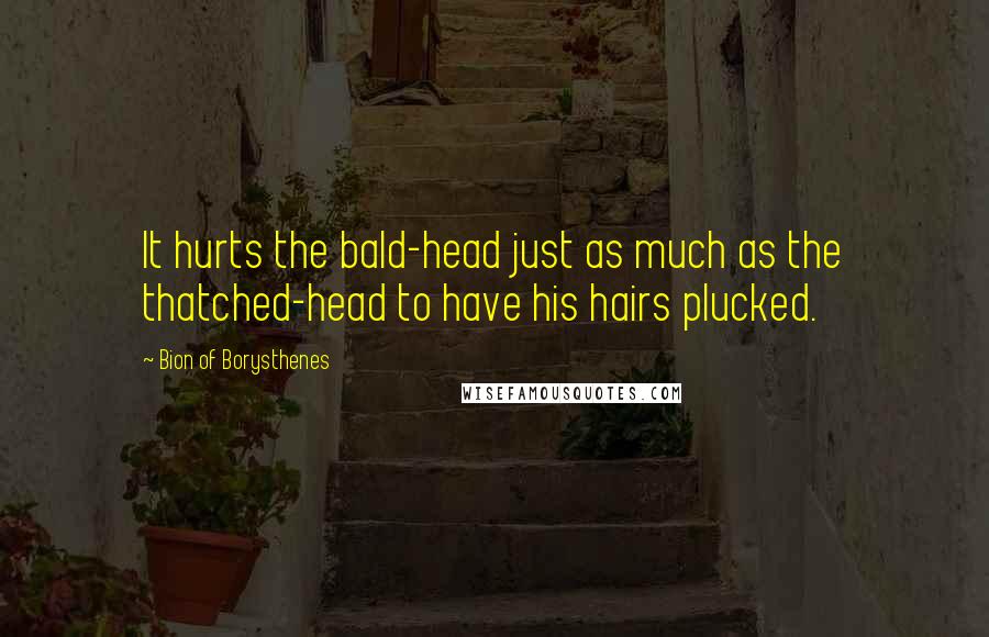 Bion Of Borysthenes Quotes: It hurts the bald-head just as much as the thatched-head to have his hairs plucked.