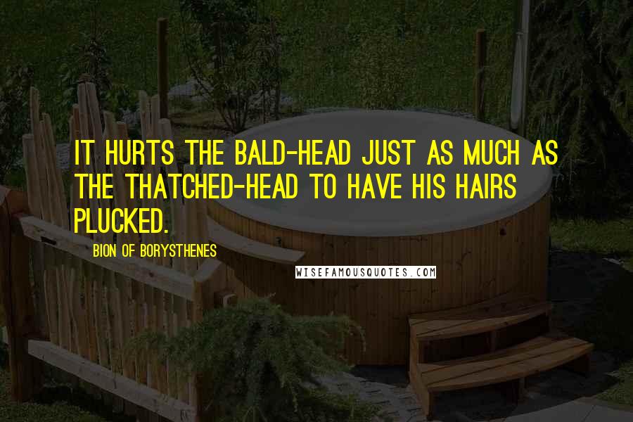 Bion Of Borysthenes Quotes: It hurts the bald-head just as much as the thatched-head to have his hairs plucked.