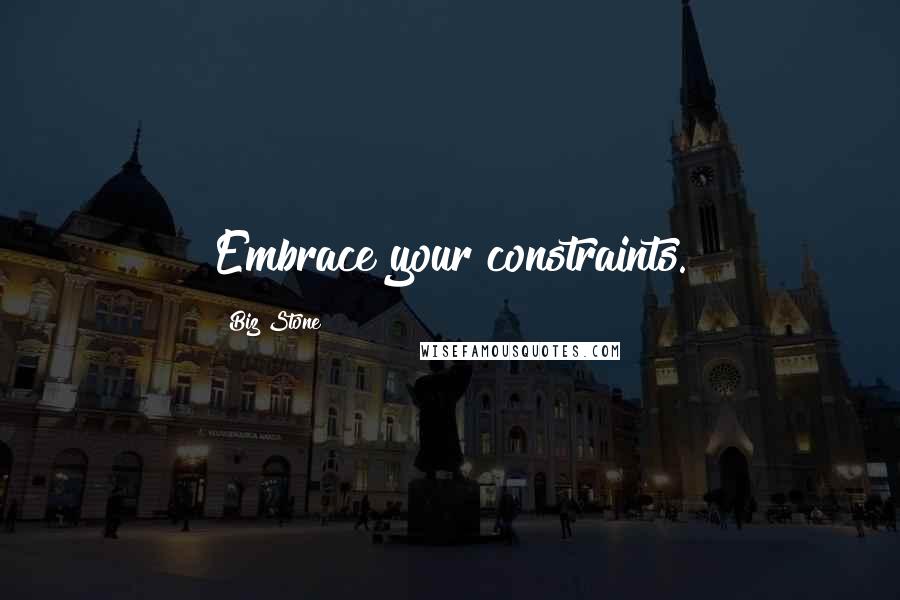 Biz Stone Quotes: Embrace your constraints.