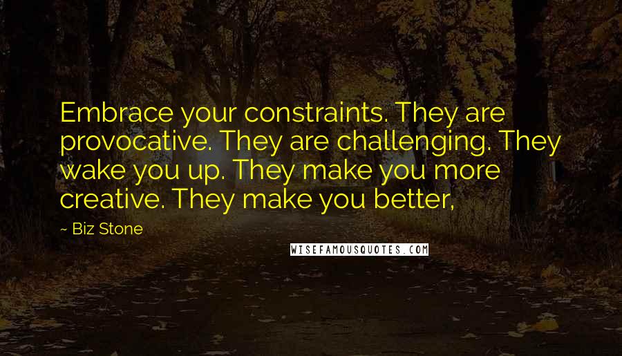 Biz Stone Quotes: Embrace your constraints. They are provocative. They are challenging. They wake you up. They make you more creative. They make you better,