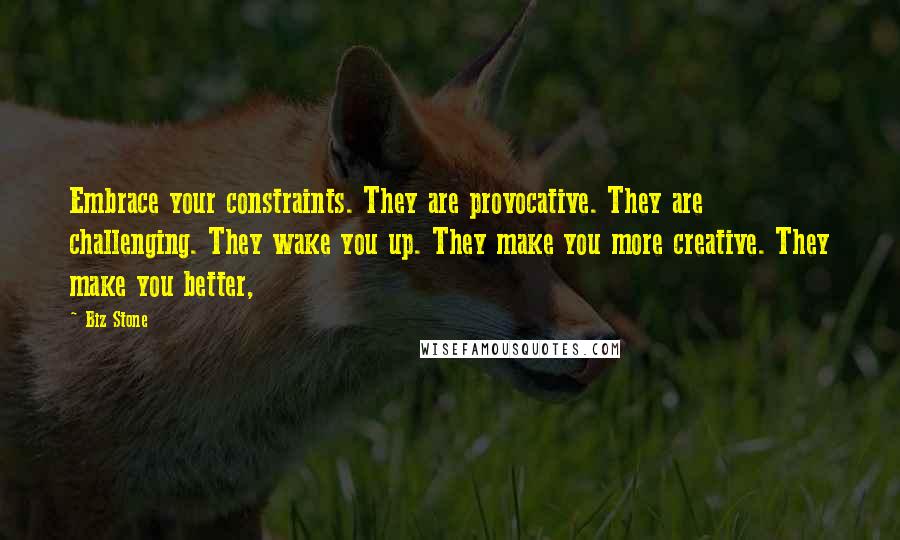 Biz Stone Quotes: Embrace your constraints. They are provocative. They are challenging. They wake you up. They make you more creative. They make you better,