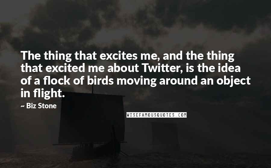 Biz Stone Quotes: The thing that excites me, and the thing that excited me about Twitter, is the idea of a flock of birds moving around an object in flight.