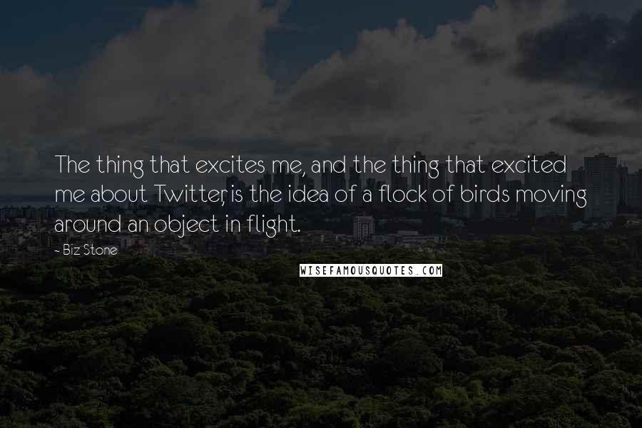 Biz Stone Quotes: The thing that excites me, and the thing that excited me about Twitter, is the idea of a flock of birds moving around an object in flight.