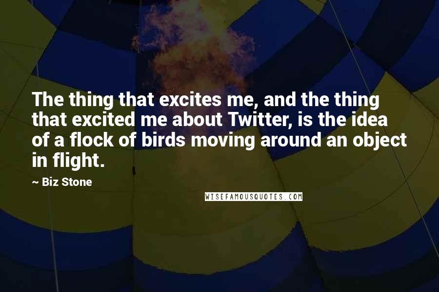 Biz Stone Quotes: The thing that excites me, and the thing that excited me about Twitter, is the idea of a flock of birds moving around an object in flight.