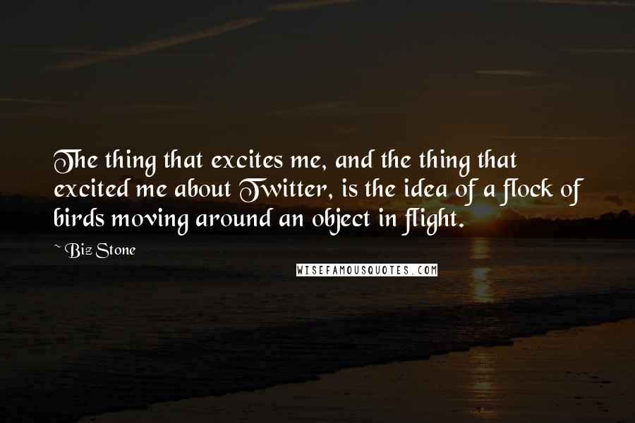 Biz Stone Quotes: The thing that excites me, and the thing that excited me about Twitter, is the idea of a flock of birds moving around an object in flight.