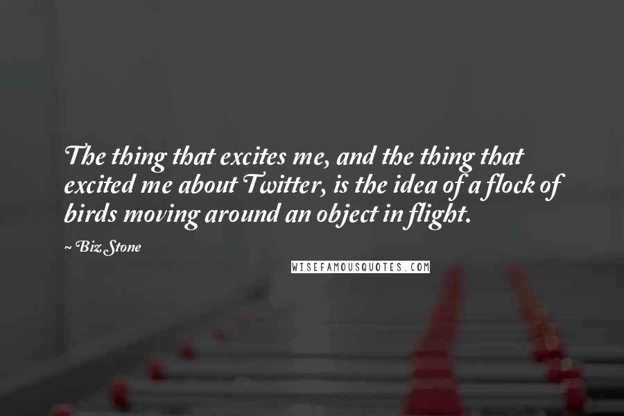 Biz Stone Quotes: The thing that excites me, and the thing that excited me about Twitter, is the idea of a flock of birds moving around an object in flight.