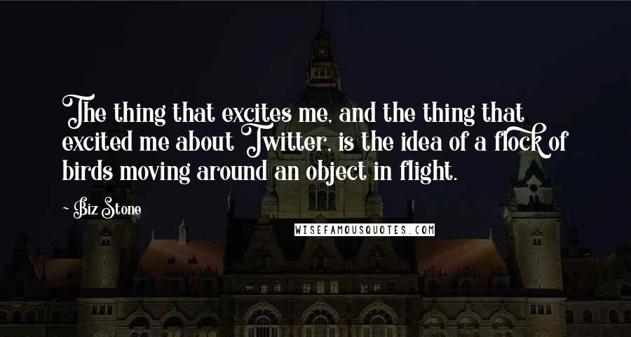 Biz Stone Quotes: The thing that excites me, and the thing that excited me about Twitter, is the idea of a flock of birds moving around an object in flight.