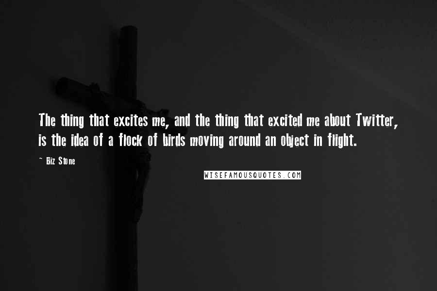 Biz Stone Quotes: The thing that excites me, and the thing that excited me about Twitter, is the idea of a flock of birds moving around an object in flight.