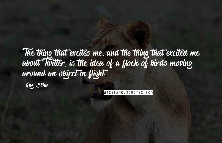 Biz Stone Quotes: The thing that excites me, and the thing that excited me about Twitter, is the idea of a flock of birds moving around an object in flight.