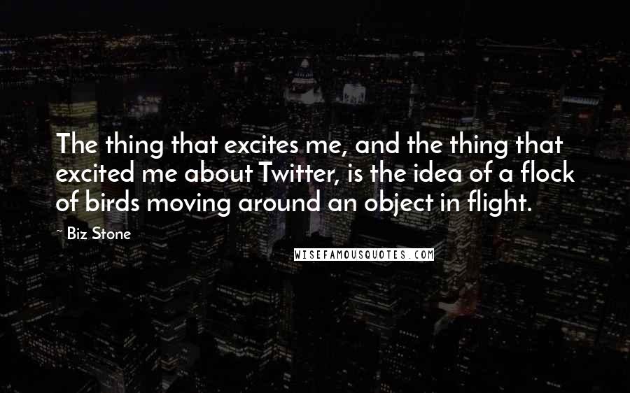 Biz Stone Quotes: The thing that excites me, and the thing that excited me about Twitter, is the idea of a flock of birds moving around an object in flight.