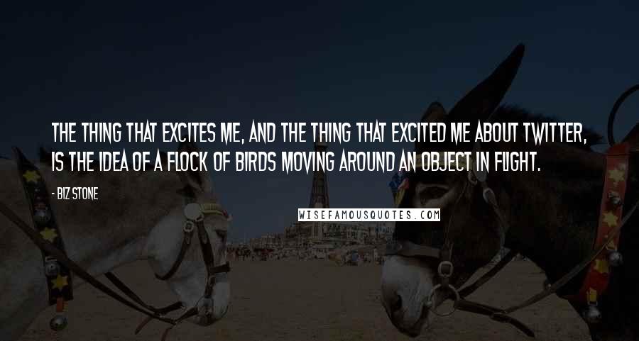 Biz Stone Quotes: The thing that excites me, and the thing that excited me about Twitter, is the idea of a flock of birds moving around an object in flight.