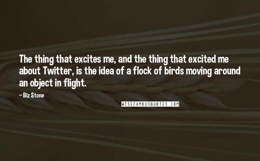 Biz Stone Quotes: The thing that excites me, and the thing that excited me about Twitter, is the idea of a flock of birds moving around an object in flight.