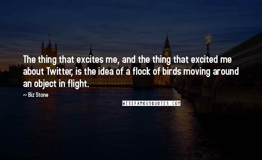 Biz Stone Quotes: The thing that excites me, and the thing that excited me about Twitter, is the idea of a flock of birds moving around an object in flight.