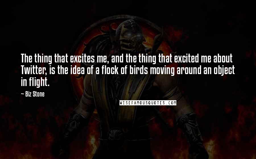 Biz Stone Quotes: The thing that excites me, and the thing that excited me about Twitter, is the idea of a flock of birds moving around an object in flight.