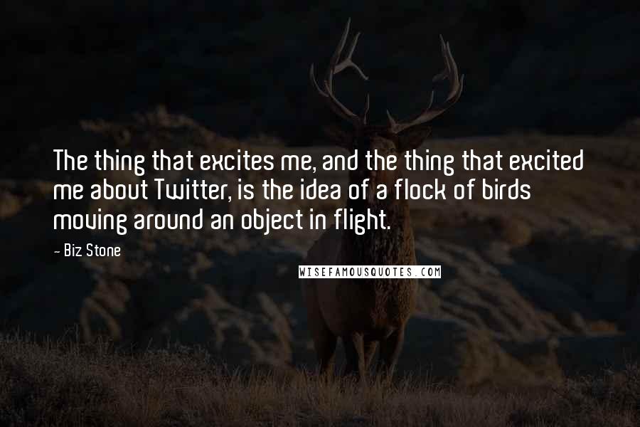 Biz Stone Quotes: The thing that excites me, and the thing that excited me about Twitter, is the idea of a flock of birds moving around an object in flight.