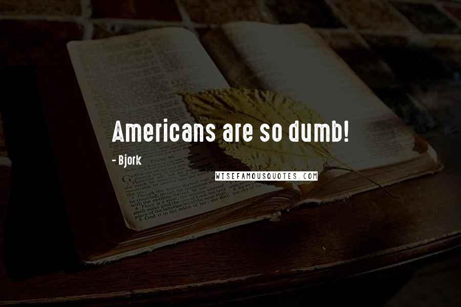 Bjork Quotes: Americans are so dumb!