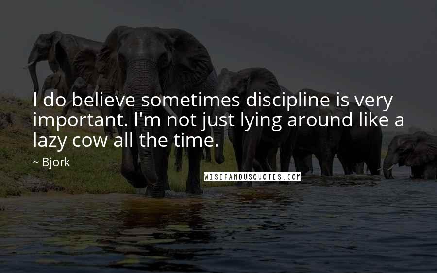 Bjork Quotes: I do believe sometimes discipline is very important. I'm not just lying around like a lazy cow all the time.