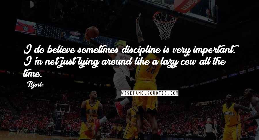 Bjork Quotes: I do believe sometimes discipline is very important. I'm not just lying around like a lazy cow all the time.