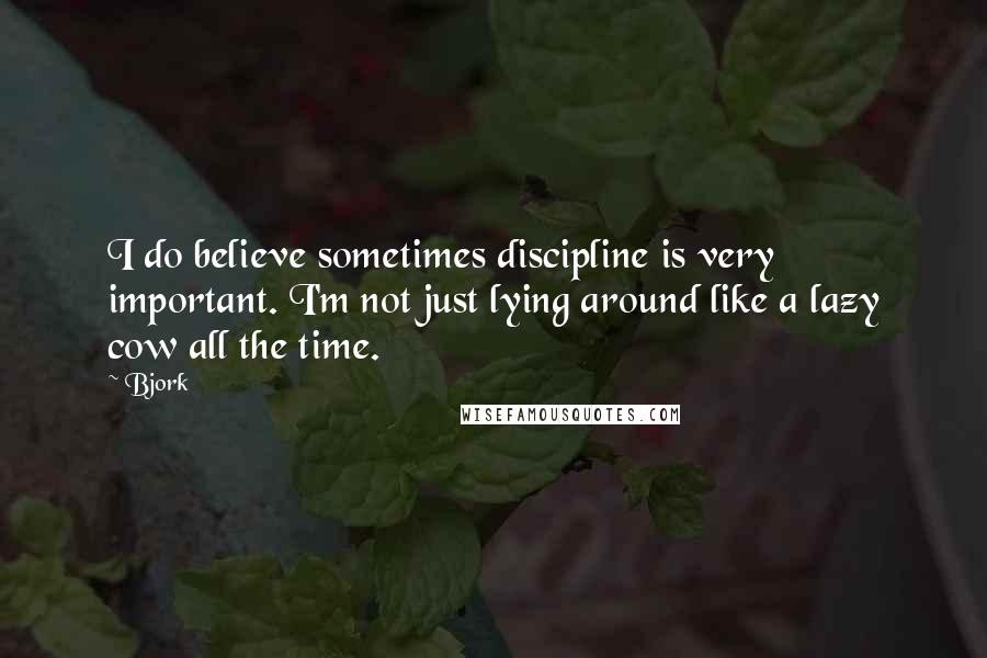Bjork Quotes: I do believe sometimes discipline is very important. I'm not just lying around like a lazy cow all the time.