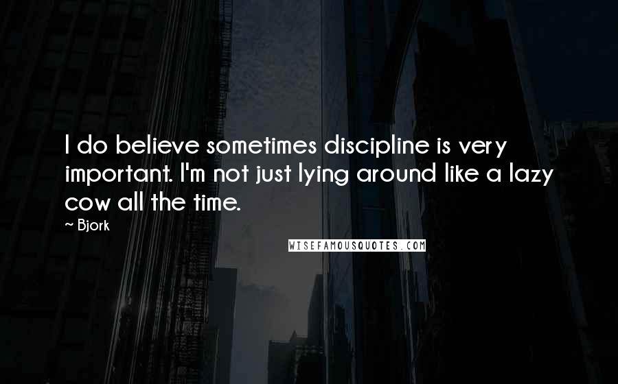 Bjork Quotes: I do believe sometimes discipline is very important. I'm not just lying around like a lazy cow all the time.