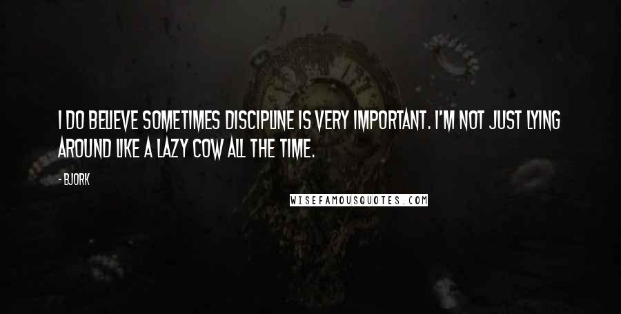 Bjork Quotes: I do believe sometimes discipline is very important. I'm not just lying around like a lazy cow all the time.