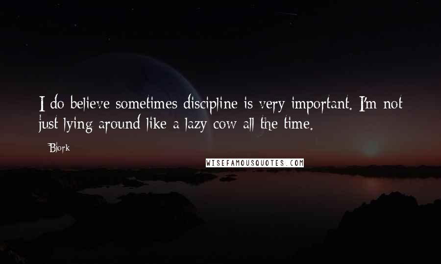 Bjork Quotes: I do believe sometimes discipline is very important. I'm not just lying around like a lazy cow all the time.