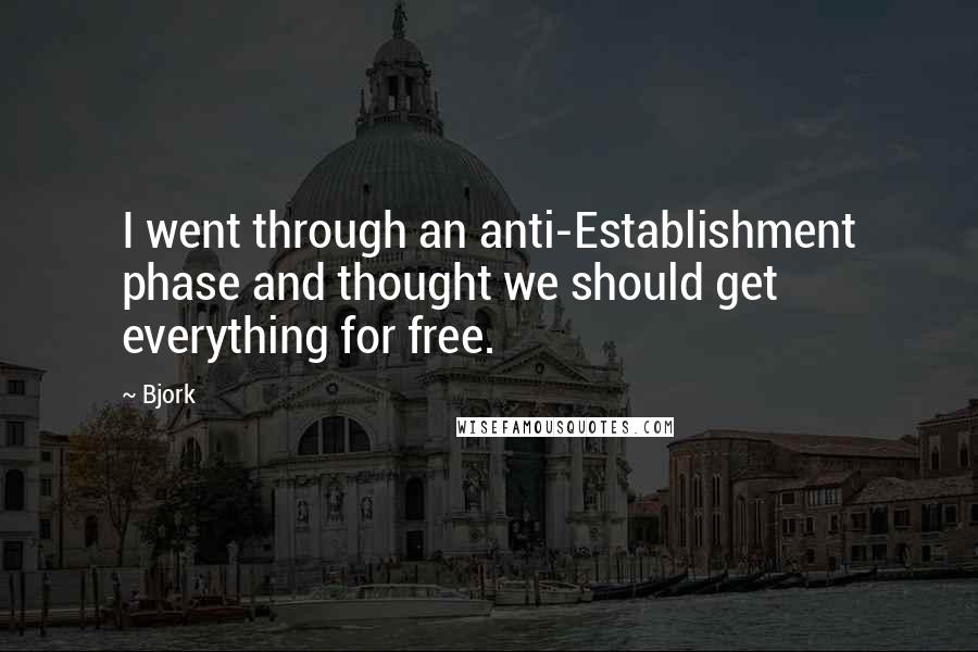 Bjork Quotes: I went through an anti-Establishment phase and thought we should get everything for free.