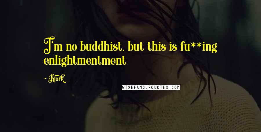 Bjork Quotes: I'm no buddhist, but this is fu**ing enlightmentment