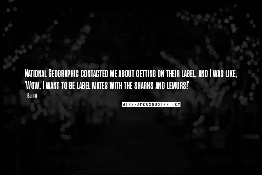 Bjork Quotes: National Geographic contacted me about getting on their label, and I was like, 'Wow, I want to be label mates with the sharks and lemurs!'