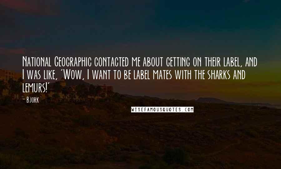Bjork Quotes: National Geographic contacted me about getting on their label, and I was like, 'Wow, I want to be label mates with the sharks and lemurs!'