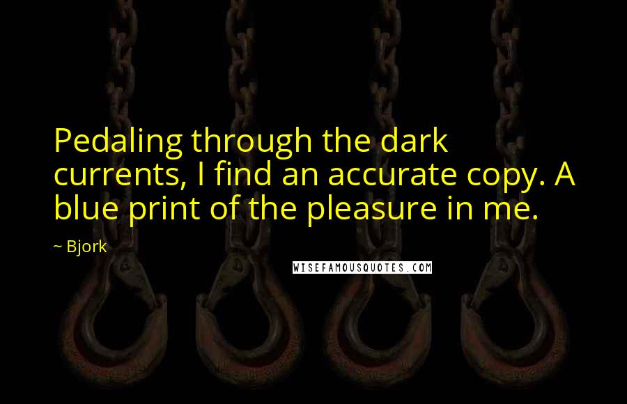 Bjork Quotes: Pedaling through the dark currents, I find an accurate copy. A blue print of the pleasure in me.