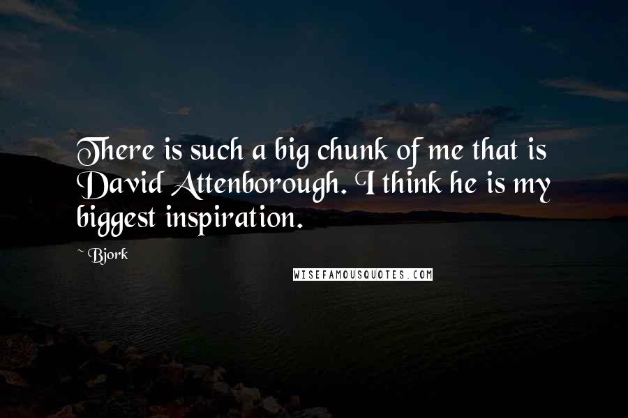Bjork Quotes: There is such a big chunk of me that is David Attenborough. I think he is my biggest inspiration.
