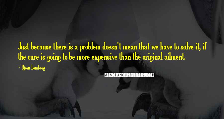 Bjorn Lomborg Quotes: Just because there is a problem doesn't mean that we have to solve it, if the cure is going to be more expensive than the original ailment.