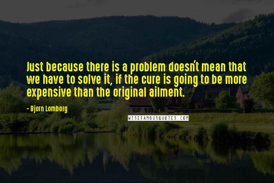 Bjorn Lomborg Quotes: Just because there is a problem doesn't mean that we have to solve it, if the cure is going to be more expensive than the original ailment.